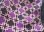 画像5: 紫×黒×ベージュのシルクスカーフ (5)