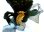 画像6: ヴィンテージバードブローチトリミングのブラックスパンコールヘッドドレス